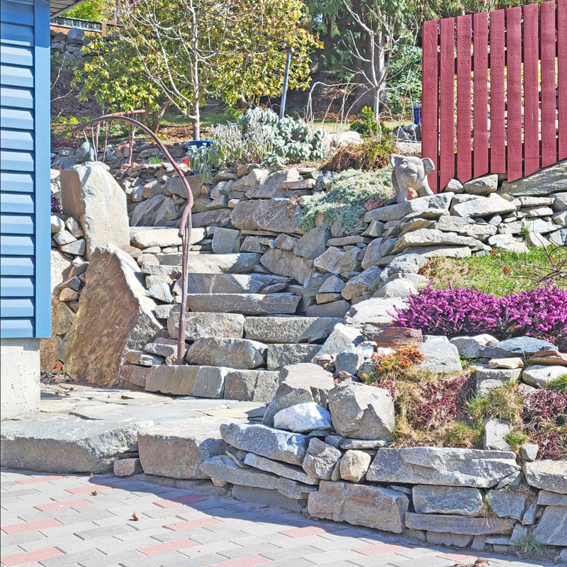 Scoop mini excavator carefully maneuvering in a tight-access residential backyard to place heavy structural rock.<br />